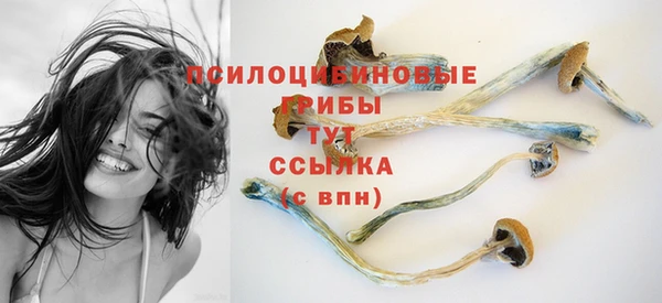 спайс Белоозёрский
