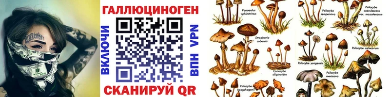 Галлюциногенные грибы GOLDEN TEACHER  закладка  Луховицы 