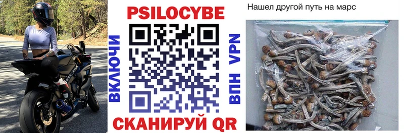 Псилоцибиновые грибы прущие грибы Луховицы